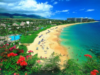 Hawaii-Pic.jpg