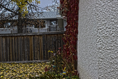 Good work Chase... while the composition is a little bit strange, the details in the stucco, vines and the leaves makes it a great candidate for HDR.