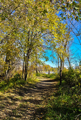 Nice work Rayna... I like how you lead the eye down the path in this shot. I am thinking that this photo would look great in black and white too.