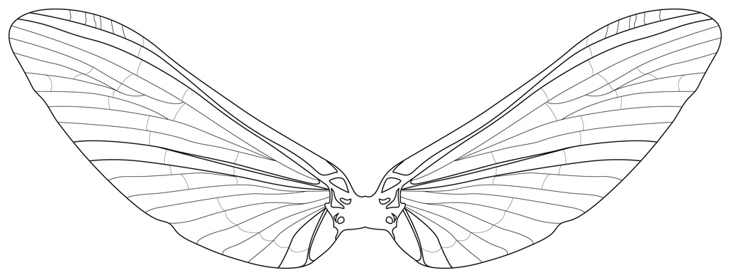 Free Printable Dragonfly Wings