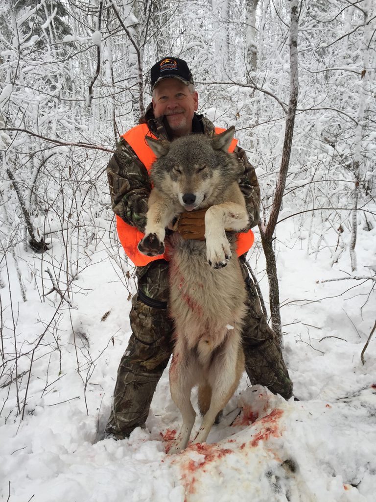Ron M Wolf 2016